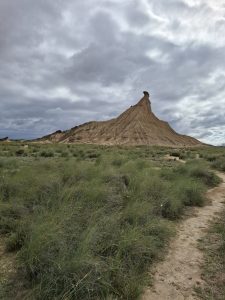 Bardenas